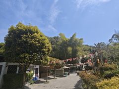 -竹海听涛生态山庄