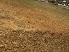 -紫颐香薰山谷景区