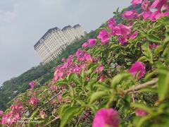 -松山湖风景区松湖烟雨