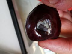 -麦德龙(嘉定店)