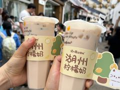 -猫的魔法密林(衣裳街店)