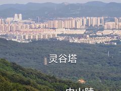 -紫金山山顶公园