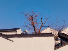 -拙政园