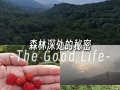-大围山国家森林公园