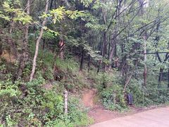 -长虫山生态公园风景林