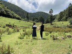 -武陵山森林公园