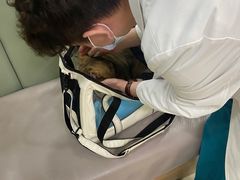 -艾贝尔宠物诊疗