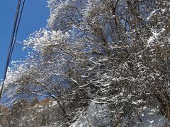 -终南山南五台景区