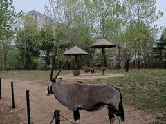 -大连森林动物园