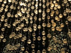 -广州四季酒店·佰鲜汇·现代法餐