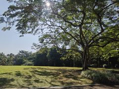 -中国科学院西双版纳热带植物园
