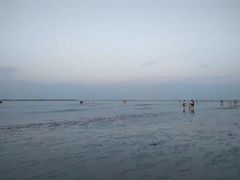 -碧海金沙