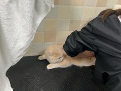 -宠颐生宠物医院·骨外科·犬猫全科诊疗中心(池州店)