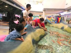 -绍兴梦享海洋公园