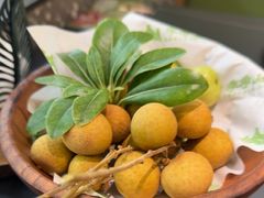 -季季山·云南野生菌火锅(上海首店)