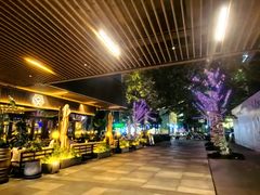 -瑞虹新天地月亮湾