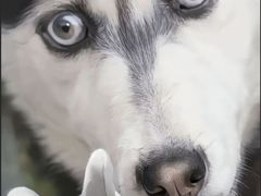 -农家乐·福建土菜(金榕北路店)