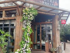 -一棵树·意大利西餐厅One Tree(新城店)