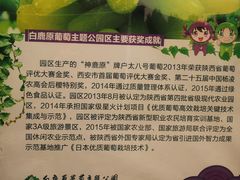 -白鹿原葡萄主题公园