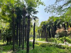 -上海滨江森林公园