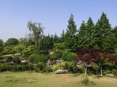 -铁山坪森林公园