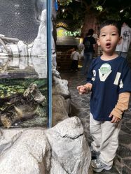 -Zoolung Zoolung动物主题公园(海信广场店)