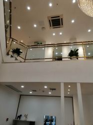-YESIDO椰岛造型