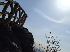 -北京西山国家森林公园