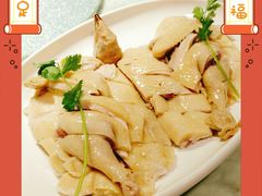 清远白切鸡-老廣食堂(区庄店)