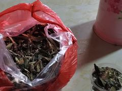 -老鲍农家乐