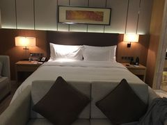 -徐州博顿温德姆酒店(高铁东站店)