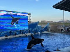 -上海海昌海洋公园