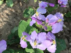 -巴奴毛肚火锅(安阳相州店)