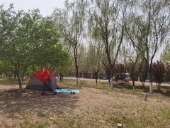 -永定河休闲森林公园