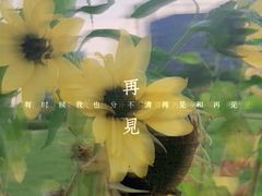 -映月湖中央公园