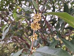 -方山风景区定林寺