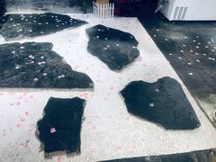 -阿鹏故事野生菌火锅(双廊古镇店)