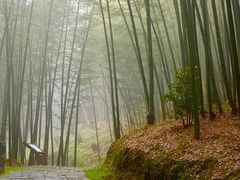-广州市石门国家森林公园