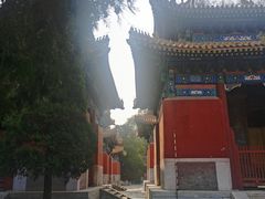 -北京国子监胡同