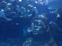 -暹罗海洋世界