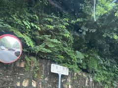 -深圳仙湖植物园