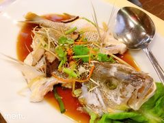 清蒸红棗鱼-真浪花园海鲜餐馆