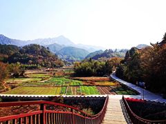 -绩溪龙川景区