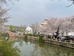 -常熟方塔园