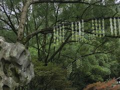 -瑶琳仙境