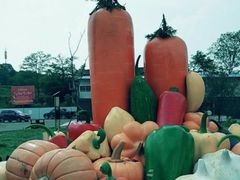 -贵阳蓬莱仙界