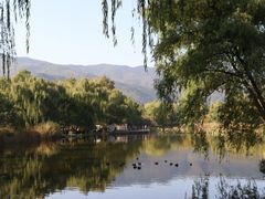 -比格比萨自助(万柳华联店)