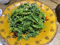炝拌丝瓜尖-灶东家民间菜(回兴店)