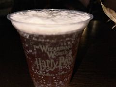 -日本环球影城