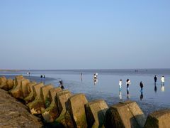 -南汇嘴观海公园